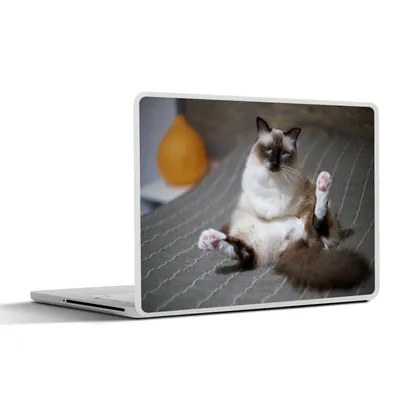 Produktbild von MuchoWow® Laptop Aufkleber Sticker Cover Katze - Fell - Braun 40x30 cm - Laptop Dekoration - Selbstklebend