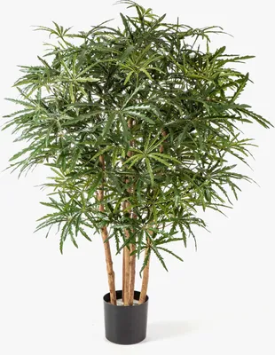 Produktbild von artplants.de Kunst Fingeraralie MAKASIM, Echtstämme, grün, 115cm - Grünpflanze künstlich