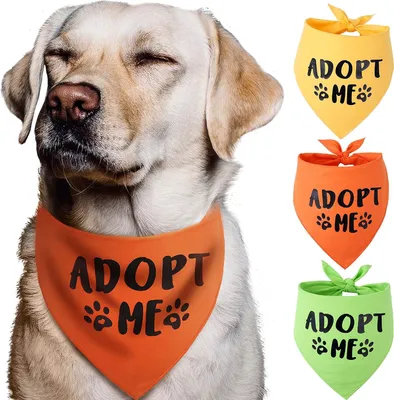 Immagine prodotto di Fascia per cani - Set da 3 - Regolabile
