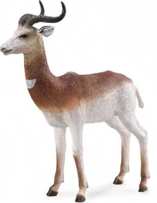 Produktbild von Collecta Gazelle Dame L Figur Braun 3-6 Years Braun 3-6 Years