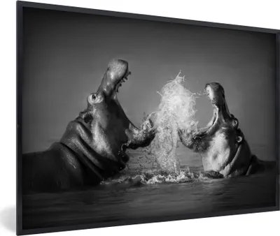 Produktbild von MuchoWow® Gerahmtes Poster Tiere - Nilpferd - Wasser - Schwarz - Weiß 30x20 cm - Poster mit Schwarzem Bilderrahmen Wandposter Rahmen Foto Bilder - Kunstdruck - Bild-Poster