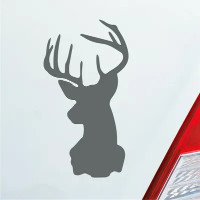 Produktbild von Auto Aufkleber Hirsch Geweih Jäger Wild Tier Rudi 12x6,5 cm Grau Sticker Heckscheibenaufkleber