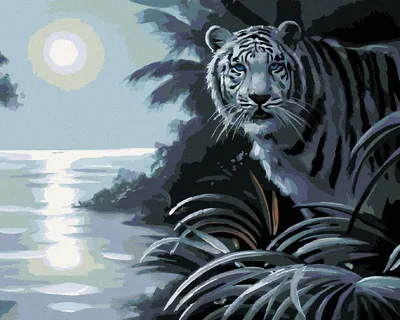 Produktbild von Zuty - Malen nach Zahlen - WEISSER TIGER, FLUSS UND VOLLMOND (D. RUSTY RUST), 40x50 cm, mit Keilrahmen (bereits gespannt)