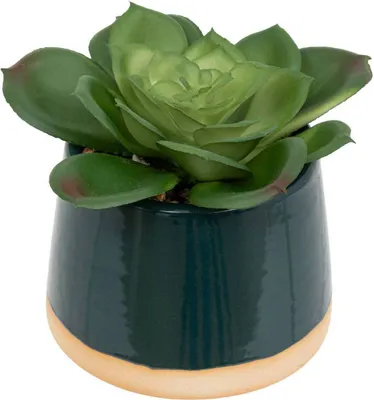 Produktbild von Künstliche pflanze keramiktopf h12cm   - Atmosphera créateur d'intérieur