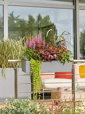 Produktbild von LECHUZA-Pflanzgefäß BALCONERA Stone 80 Steingrau | Balkonkasten mit Bewässerung und 2 Pflanzeinsätzen | Naturstein-Optik | 79 x 19 x 19 cm | 15660