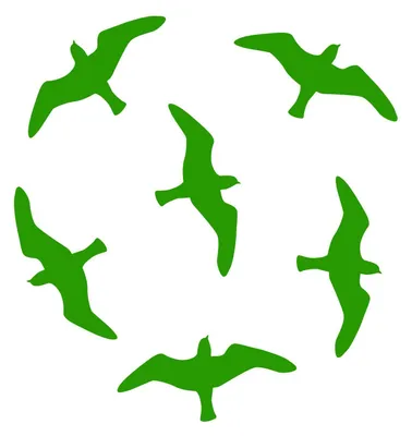 Produktbild von HUURAA! 6er Set VOGELSCHUTZ AUFKLEBER Farben Vogel Schreck Wintergarten Scheibe Glas 15x8cm 15x8cm