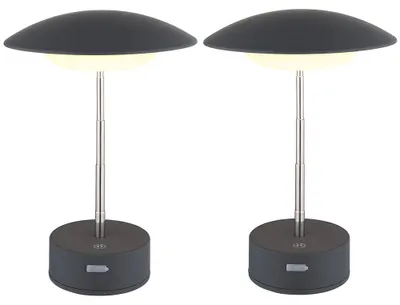 Immagine prodotto di 2 lampade da tavolo a LED, colore antracite, con dimmer, regolabili, altezza 26 cm