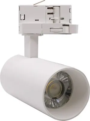 Image de Spot LED sur Rail Triphasé CCT 20W 60° Blanc - 3000K/4000K/6500K