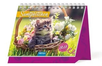 Produktbild von TRÖTSCH - Aufstellkalender Samtpfötchen 2027