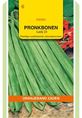 Immagine prodotto di Oranjeband Prunkbohnen Lady Di, 100g - 1 confezione di semi