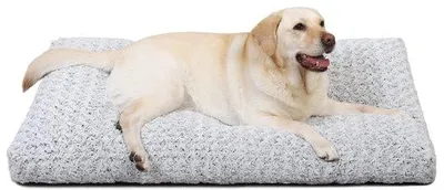 Imagen del producto de Cama para perros de gran tamaño, lavable, de color gris claro, grande y suave. Ideal para perros grandes y medianos. Base antideslizante. Cama para perros, colchón para perros, cama para mascotas