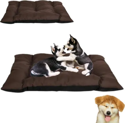 Produktbild von Anwicar Hundebett - Hundekissen - Hundebetten - Hunde Bett - 60x50 cm - Braun