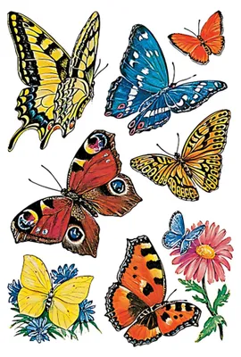 Produktbild von HERMA DECOR stickers butterflies 3 sheets, different, 3 pcs