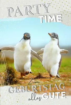 Produktbild von Geburtstag  Karte mit Briefumschlag Pinguine, Partytime