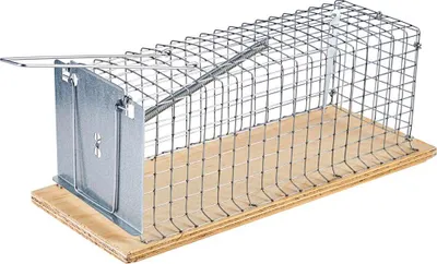 Produktbild von Swissinno Holz-Lebendfalle für Ratten