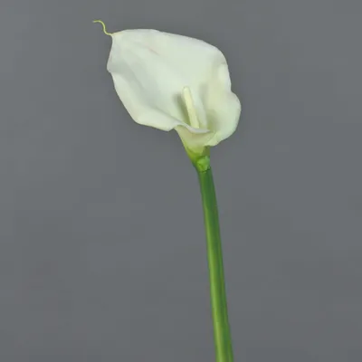Produktbild von artplants.de Künstliche Blume Zantedeschie ZHILONG, weiß, 55 cm - Künstliche Stielblume