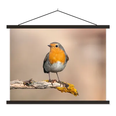 Produktbild von MuchoWow® Textilposter Rotkehlchen - Vogel - Zweig - Tiere 40x30 cm mit schwarzem Rahmen - Dekorationen