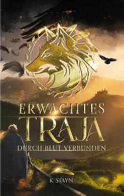 Obrázek produktu pro Erwachtes Traja: Buch über magische Seelenbänder und verborgene Vergangenheit