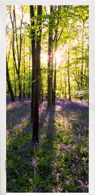 Obrázek produktu pro MuchoWow® Plakát na dveře - Les - Květiny - Levandule - 205x85 cm - Samolepicí fólie na dveře