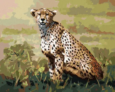 Produktbild von Zuty - Malen nach Zahlen - SITZENDER GEPARD (D. RUSTY RUST), 40x50 cm, ohne Keilrahmen