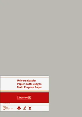 Produktbild von BRUNNEN Universalpapier 120g grau