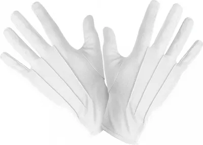Produktbild von Kostümhandschuhe Weiß Deluxe