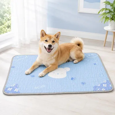 Produktbild von Haustier Sommermatte selbstkühlend 60x45cm atmungsaktiv rutschfeste Unterseite faltbar für Katzen Hunde Zuhause