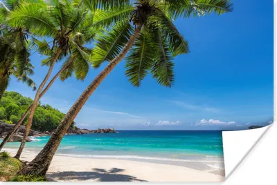 Produktbild von MuchoWow® Poster Strand - Palme - Meer - Insel 180x120 cm - Fotoplakat