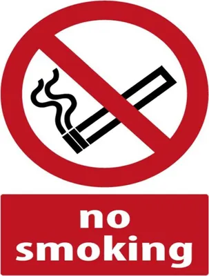 Produktbild von vianmo Holzschild 40x30 cm No Smoking