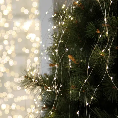 A close-up shot of a string of fairy lights draped over a Christmas tree.