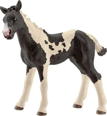 Produktbild von Schleich 13803 Farm World - Pinto Fohlen