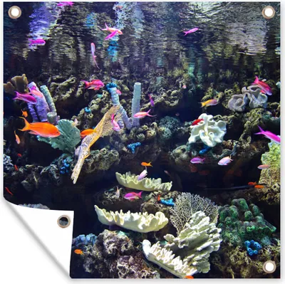 Obrázek produktu pro MuchoWow® Zahradní plakáty - Barevné akvárium - 200x200 cm - Zahradní dekorace