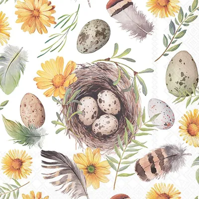 Produktbild von Servietten 33x33 cm Birds nest - Vogelnest