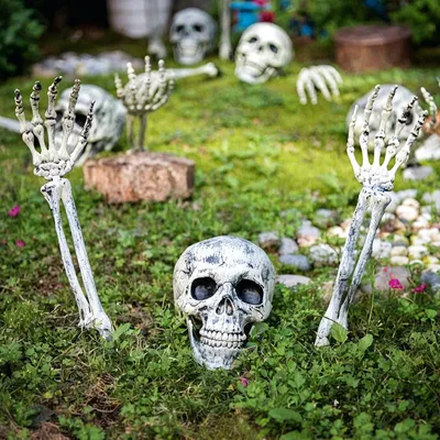 Produktbild von Halloween Deko Set: Dieses 3-teilige Halloween Deko Set enthält 1 x realistisch gestalteten Schädel und 2 x Skelettarme. Maße: Arm ca. 37 x 9,5 cm, Schädel ca. 18,5 x 13,5 cm – ideal für unheimliche Halloween Friedhofsdekoration im Garten oder Hof. Wetterfestes Skelett aus Kunststoff: Hergestellt aus robustem, handbemaltem Kunststoff, ist dieses skelett langlebig und detailreich verarbeitet. Der bewegliche Kiefer sorgt für einen realistischen Look – perfekt für gruselige Halloween Deko außen. Gruseliges Des
