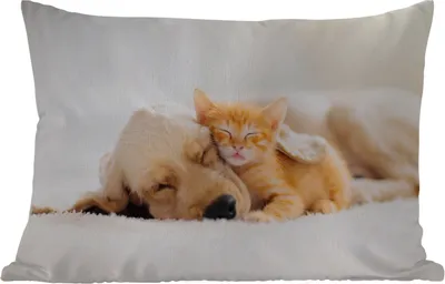 Produktbild von MuchoWow® Outdoor Kissen - Tiere - Hund - Kätzchen - Rot - 60x40 cm - Wetterfest - Lounge Kissen - Zierkissen - Kissen für Innenräume