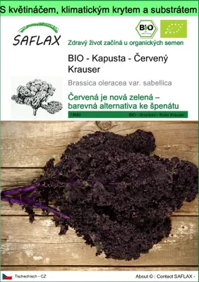 Obrázek produktu pro SAFLAX Garden to go - BIO - Kapusta - Červený Krauser - Brassica oleracea var. sabellica - 50 Semena - S květináčem, klimatickou poklicí a pěstebním substrátem