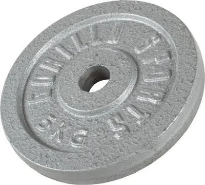 Obrázok produktu pre Gorilla Sports Liatinový záťažový kotúč, strieborný, 5 kg