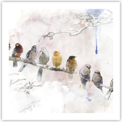 Produktbild von Poster - Poster ohne Rahmen - Vögel Kanarienvogel Zweig - 60x60 cm - Wand Bild - Wanddeko - Wandbilder - Kunstposter - Wandposter - Bilder - Kunstdruck - Wanddekoration - Wandbild - P2XAC60x60-4175