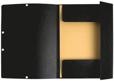 Produktbild von Exacompta 55301E Sammelmappe Karton Schwarz A4