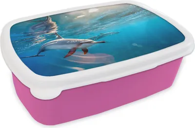 Produktbild von KitchenYeah® Lunchbox Brotzeit Brotdose 17x11 cm Delphin - Sonne - Wasser Kinder Brotzeitdose - Lunchpaket - Brotkasten  - Sandwich Box