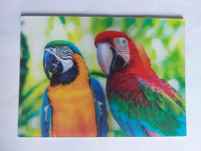 Produktbild von 3 D Ansichtskarte Aras, Papageien, Postkarte Wackelkarte Hologrammkarte, Tier Vogel Vögel
