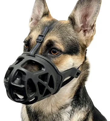 Image de Muzzle de protection pour chiens en différentes tailles