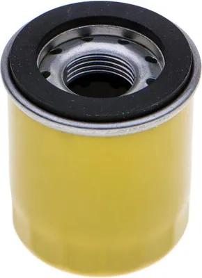Zdjęcie produktu dla Filtr oleju B&S Intek CZĘŚĆ ORYGINALNA 795990