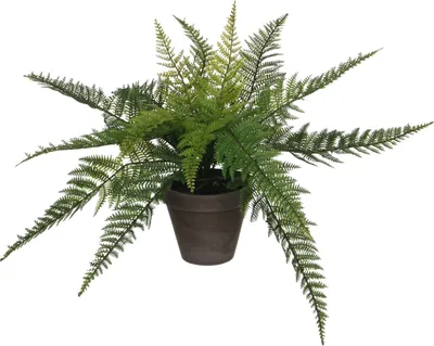 Produktbild von Mica Decorations Farn Kunstpflanze im Blumentopf Stan - H38 x Ø50 cm - Grün