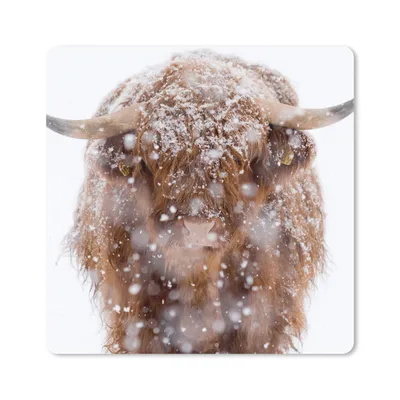 Produktbild von MuchoWow® Mauspad Mousepad Schottischer Highlander - Hörner - Schnee 30x30 cm - Mousepads - Maus Mat - Pad - Mausunterlage - Gaming