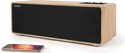 Zdjęcie produktu dla Thomson WS852 Kolumny przenośne