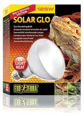 Produktbild von Exo Terra PT2334, 80 W, 1 Stück(e), 4000 K, 650 lm, 6,2 lm/W, 70%