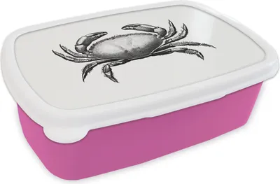 Obrázek produktu pro KitchenYeah® Lunchbox Box na oběd 17x11 cm Vintage - Krab - Zvířata Dětský svačinový box - Obědový balíček - Box na chléb - Sendvičový box
