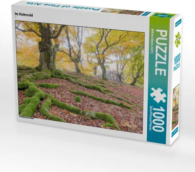 Produktbild von CALVENDO Puzzle Im Hutewald | 1000 Teile Lege-Größe 64x48cm Foto-Puzzle für glückliche Stunden