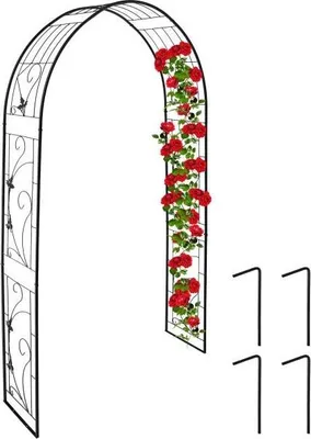 Image de Arche de roses en fer